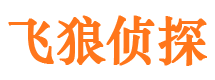 娄烦外遇调查取证